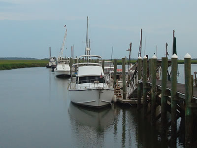 Dolphin Tours & Boat Charters on Tybee Island SC