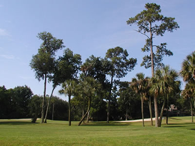 Savannah and Coastal Georgia Golf Courses